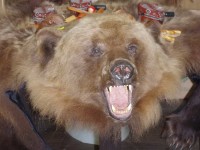 Чучела