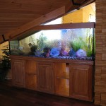 aquatium-oformlenny-22