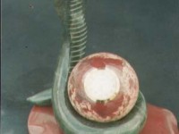 interier.35